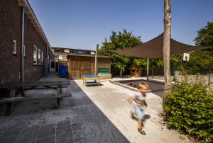 HighRes_IMG_3971.jpeg